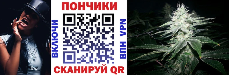 Купить где  Пустошка  Каннабис THC 21% 